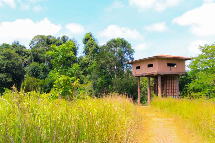 Bangkok: Private & Customizable Khao Yai National Park Tour - Wildlife viewing time in Khao Yai: what to expect (and how to make it count)