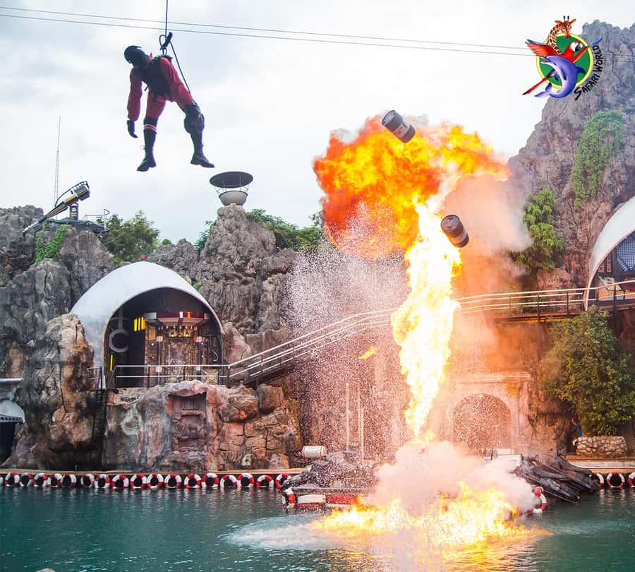 Bangkok: Private Family Tour to Safari & River Dinner Cruise - Marine Park shows: dolphins, birds, and elephants on the performance schedule