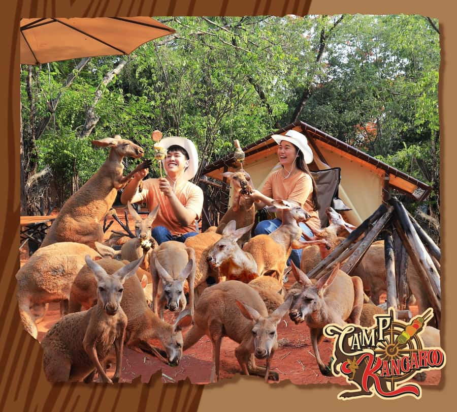 Bangkok: Private Family Tour to Safari & River Dinner Cruise - Entering Safari World: the Safari Park open-zoo feeling