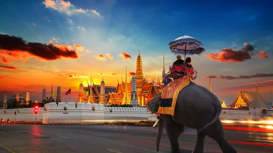 Bangkok:Private Guided Tour |Grand Palace, Wat Pho, Wat Arun - Wat Pho: the Reclining Buddha plus Thai medicine and massage origins