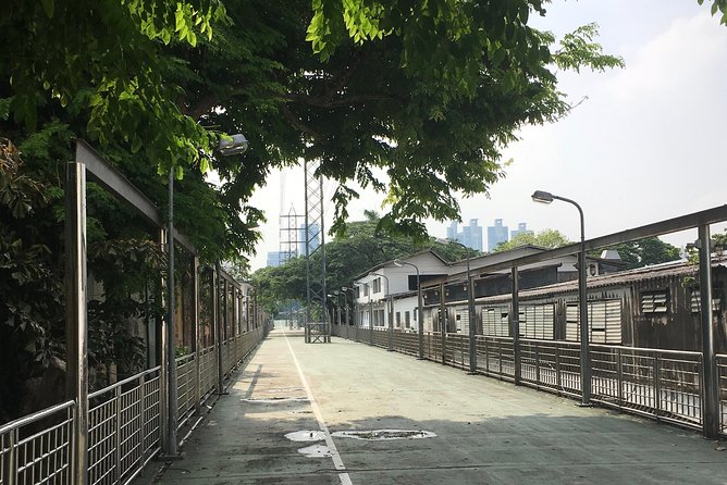 Bangkok's Wireless Road: A Self-Guided Audio Tour - Nai Lert and the rain trees: Bangkok’s shade, explained