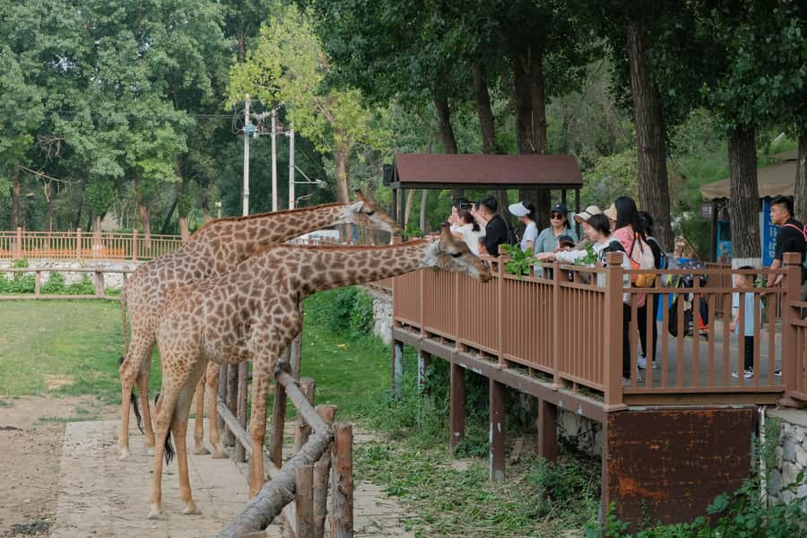 Bangkok Safari & Marine Park - Practical tips that make the day smoother