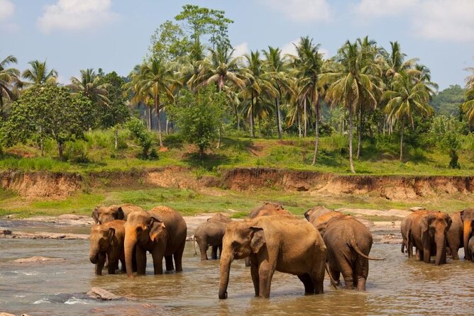 Bangkok: Safari world & Marine park - Key highlights you should care about