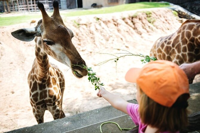 Bangkok: Safari world & Marine park - Safari World’s 45-minute drive: how the park viewing is paced
