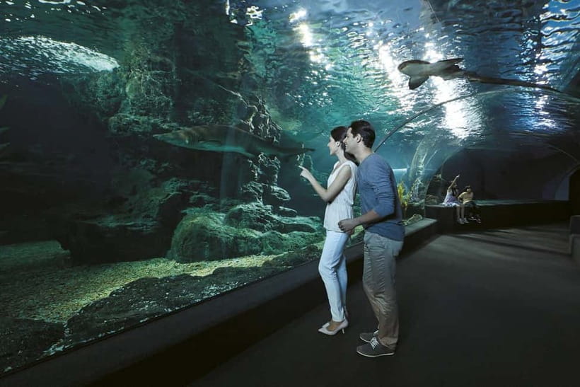 Bangkok: SEA LIFE Bangkok & Madame Tussauds Entry Ticket - Key highlights worth centering your day on