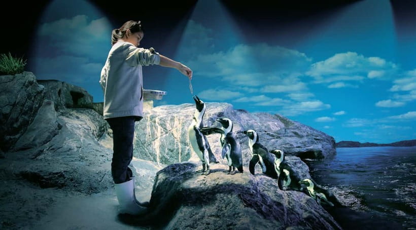 Bangkok: SEA LIFE Bangkok Ocean World Entry Ticket - Key highlights worth your time