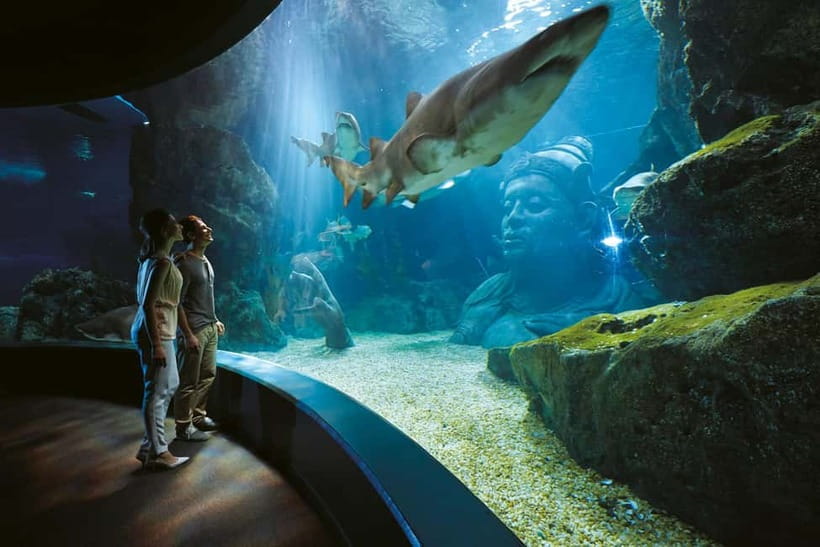 Bangkok: SEA LIFE Bangkok Ocean World Entry Ticket - Why SEA LIFE Bangkok Ocean World works inside Siam Paragon