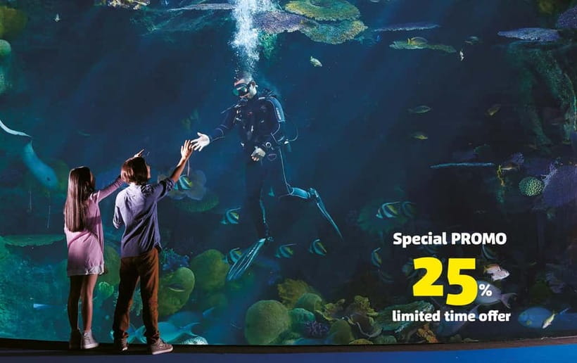 Bangkok: SEA LIFE Bangkok Ocean World Entry Ticket - Starting plan: how to see more without feeling rushed