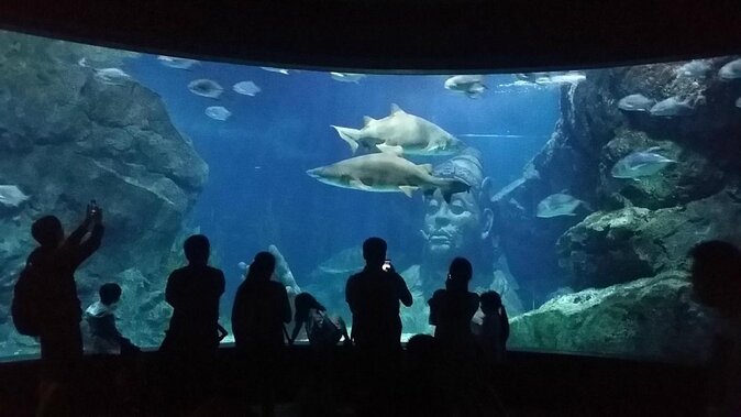 Bangkok SEA LIFE & Madame Tussauds Combo with Hotel Transfers - Two indoor attractions, one ticket, less Bangkok time lost