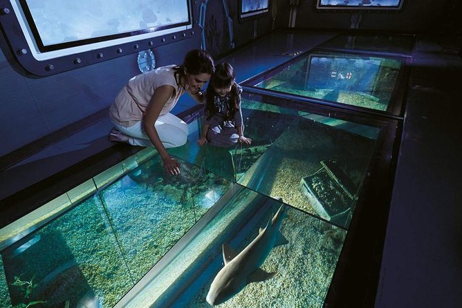 Bangkok SEA LIFE & Madame Tussauds Combo with Hotel Transfers - A heads-up on tickets and the counter scan issue