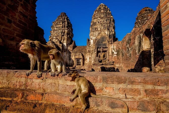 Bangkok to Ayutthaya Lopburi Monkey Temple, Largest Buddha Tour - Key things to notice before you go