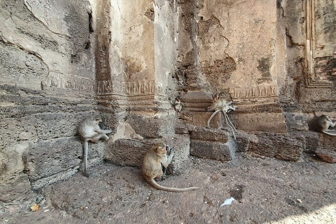 Bangkok to Ayutthaya Lopburi Monkey Temple, Largest Buddha Tour - Getting Started: The 8:00 AM Meet at Museum Siam