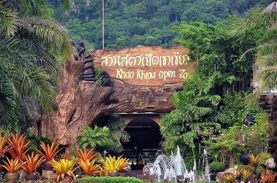 Bangkok to Moo Deng: Private Transfer To Khao Kheow Zoo - Khao Kheow Open Zoo Beyond Moo Deng: What You’ll Enjoy
