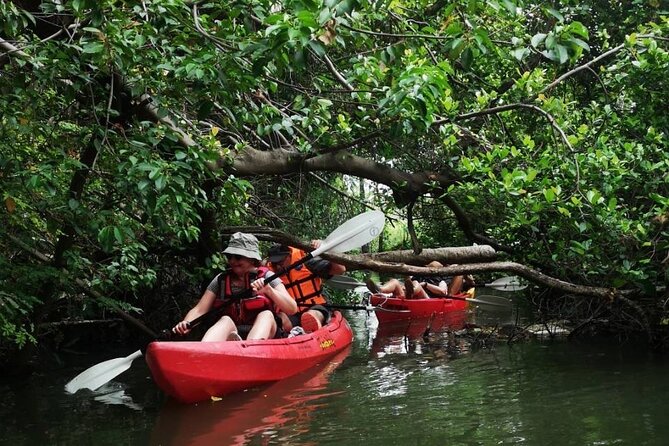 Bangkok Tour by Boat and Bike - Thai lunch at a local restaurant: what’s included and why it matters