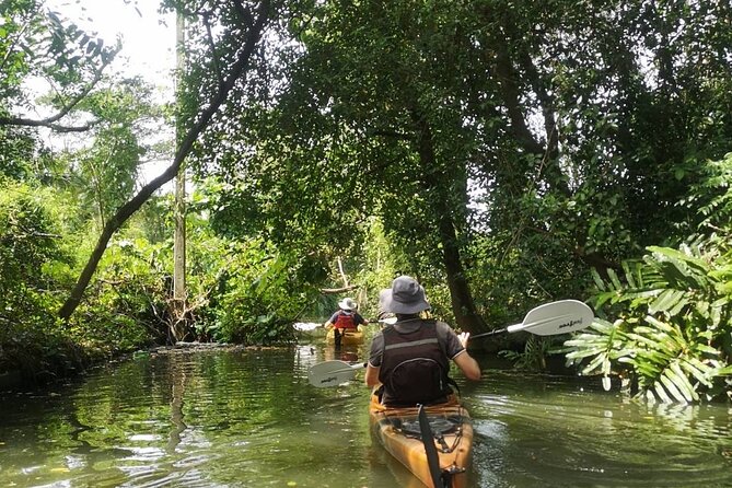 Bangkok Tour by Boat and Bike - Practicalities that affect your comfort: pace, fitness, and the small-group feel