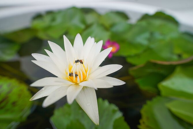 Bangkok Wat Pho and Flower Market Historical Walking Tour - Wat Pho Thong and the value of adding one more temple stop