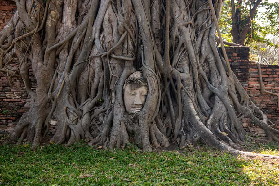 BKK: Ayutthaya, Maeklong Railway, Damnoen Saduak Floating - Price and value: what $109 buys you in real terms
