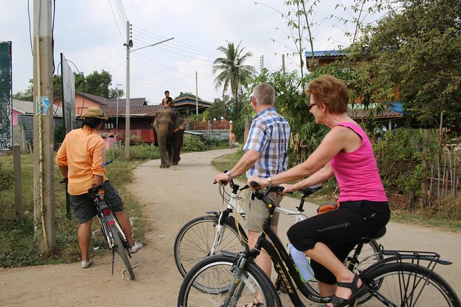 Colors of Ayutthaya Full-Day Bike Tour - ThailandBiking Ayutthaya: where you start and how the day is set up