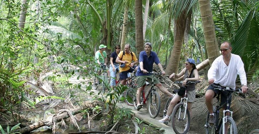 Colors Of Bangkok: 4-Hour Small Group Bike Tour - Meeting at the Bangkok river office: what the day is like