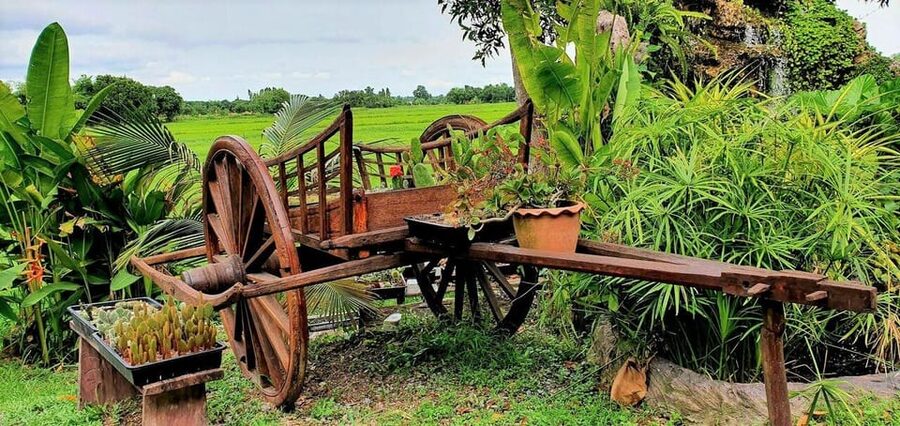 Cultural immersion: Thai cooking, rice farming, eco printing - Key highlights worth waking up for