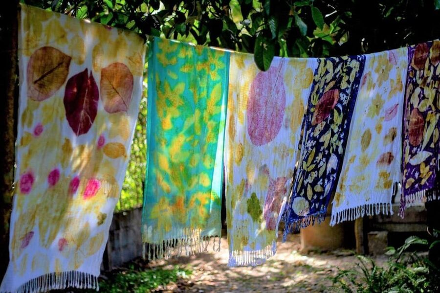 Cultural immersion: Thai cooking, rice farming, eco printing - Who should book this Thai culture day?