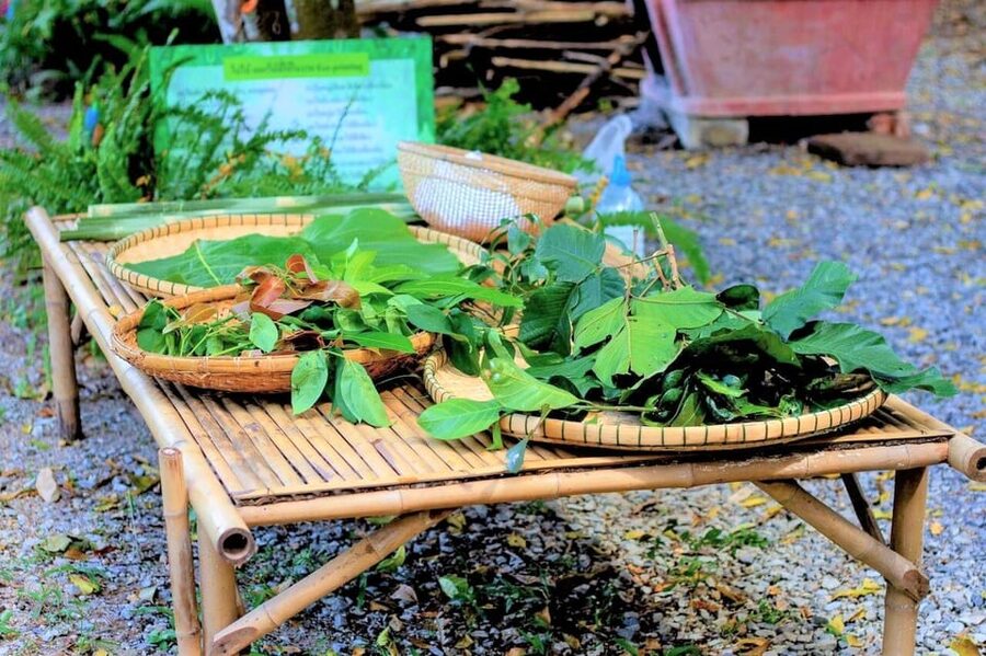 Cultural immersion: Thai cooking, rice farming, eco printing - A full Thai food and craft day (6:30 AM to 5:30 PM)