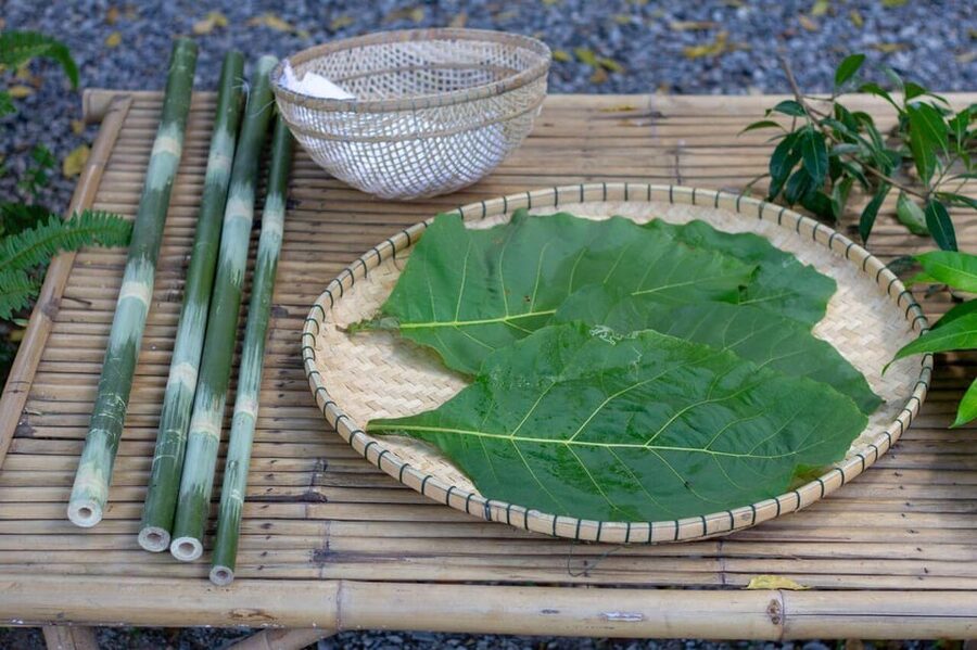 Cultural immersion: Thai cooking, rice farming, eco printing - Rice farming in the morning routine style