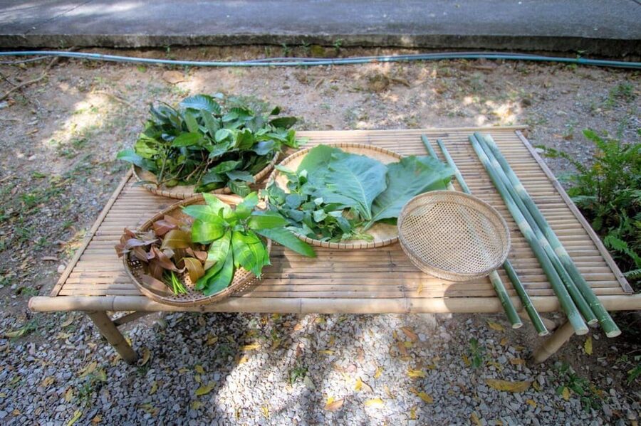Cultural immersion: Thai cooking, rice farming, eco printing - Outdoor cooking class: the top 5 Thai dishes you’ll actually make