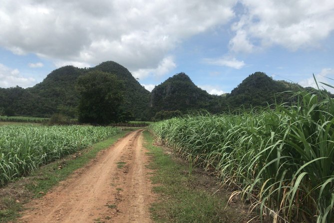 Cycling in rural Kanchanaburi area - Why a Rural Kanchanaburi Bike Ride Feels Like a Local Morning