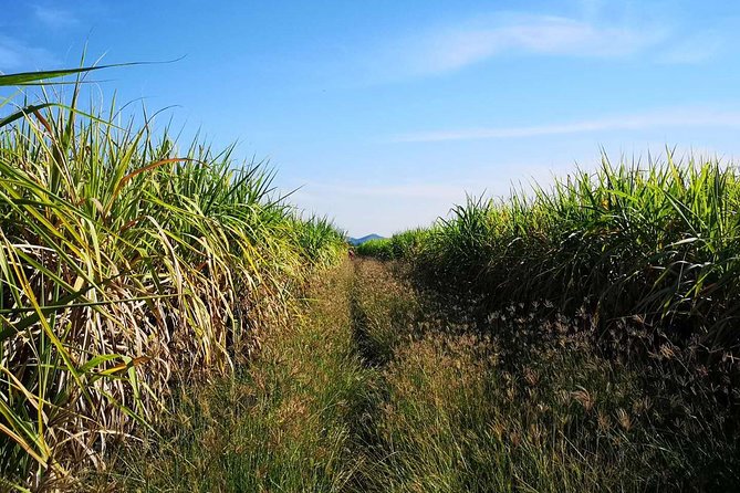Cycling in rural Kanchanaburi area - Optional Upgrade: Stand-Up Paddling and Thai Lunch
