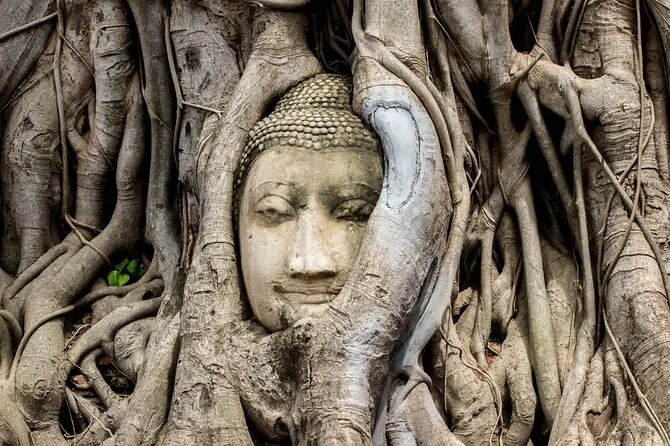 Day Tour of Ayutthaya and Bang Pa In - Stop 1: Wat Phukhao Thong and Its 50-Metre Chedi