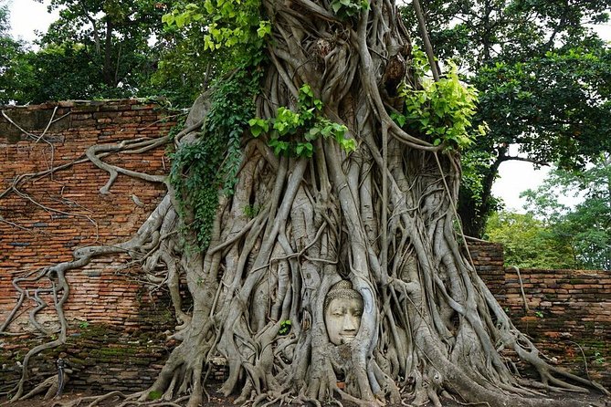 Discover UNESCO World Heritage Sites - Ayutthaya to Khao Yai National Park - Ayutthaya temple morning: a focused route through Thailand’s old capital