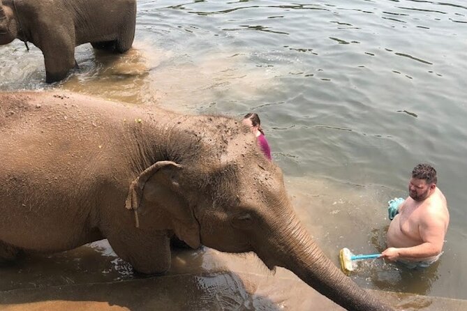 Erawan Waterfall and Elephant care from Bangkok -Private Tour - Erawan Waterfall at 2pm: seven levels and swimming in green pools