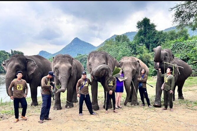 Erawan Waterfall and Elephant care from Bangkok -Private Tour - Timing back to Bangkok: why arrival can slide to 7:30pm