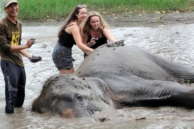 Erawan Waterfall and Elephant care from Bangkok -Private Tour - Who this tour suits best (and who should pause)