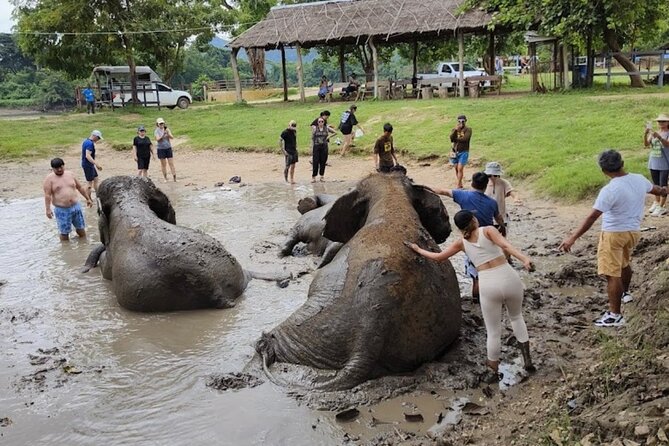 Erawan Waterfall and Elephant care from Bangkok -Private Tour - Should you book this Erawan and Elephants private tour?