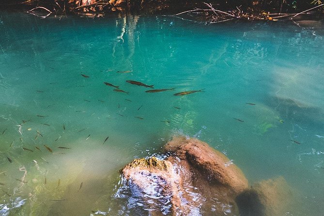 Erawan Waterfall and Elephant Care: Private Tour to Kanchanabur - Bangkok to Kanchanaburi: why the early pickup matters