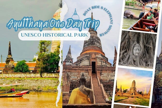 Ethical Elephant Watching Tour From Bangkok & Pattaya - Price and value: is $115 a fair deal for an ethical day trip?