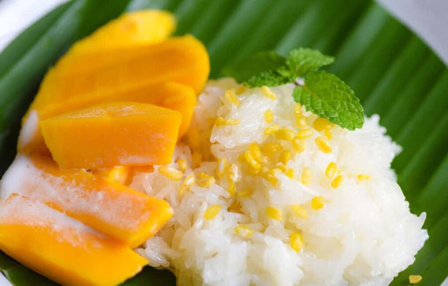 Flavors of Bangkok: Guided Food Tasting Tour with a Local - Who should book this Bangkok food tasting tour?