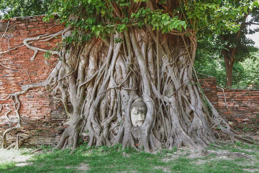 From Bangkok: Ayutthaya Day Tour by Bus with River Cruise - Key highlights worth showing up for