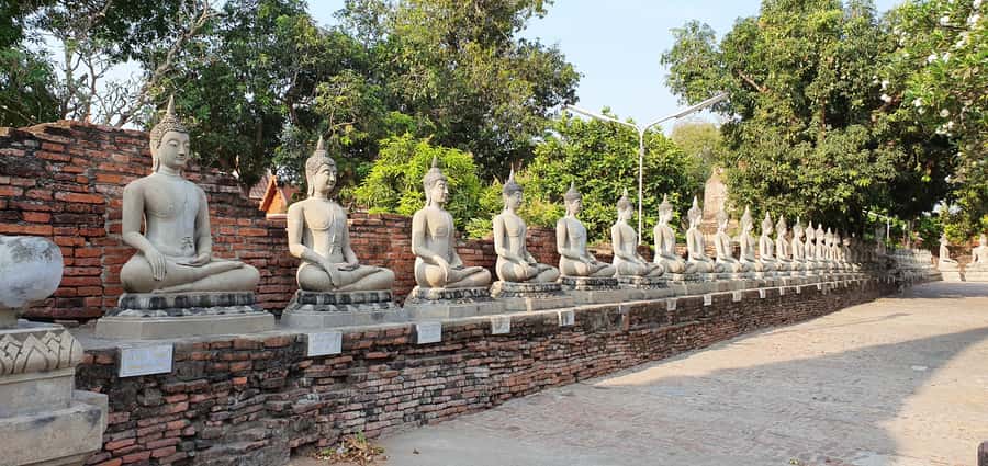 From Bangkok: Ayutthaya & Khao Yai National Park Day Trip - The Lunch Break: Local Thai food, then back on the road
