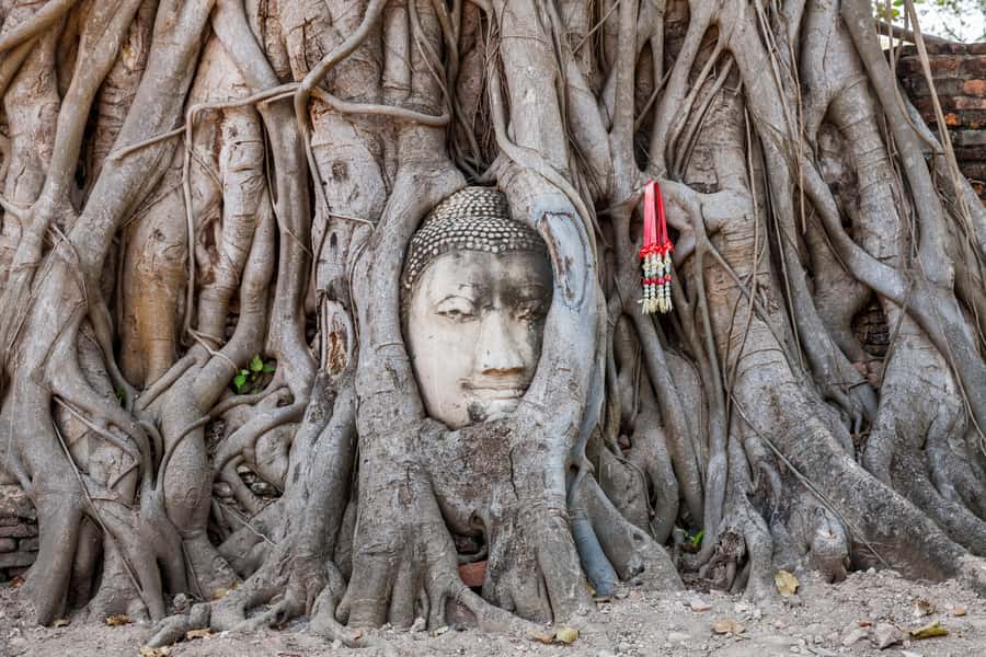 From Bangkok: Ayutthaya Private Full-Day UNESCO Trip - Wat Phra Sri Sanphet: the royal monastery that sets the mood