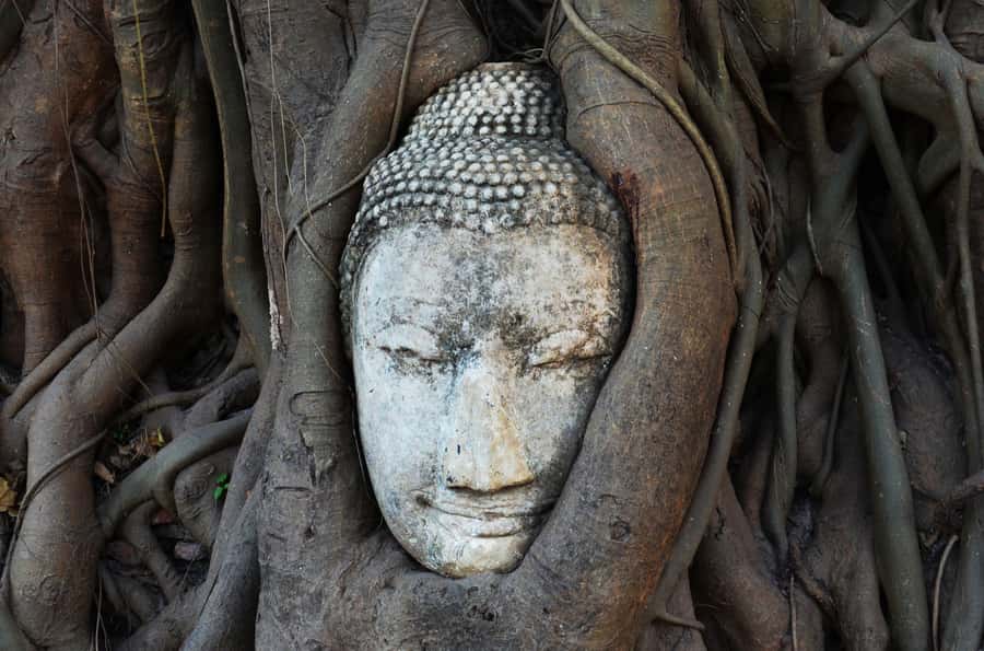 From Bangkok: Bang Pa-In Palace & Ayutthaya Private Trip - Lunch Break: Thai Boat Noodles with a Built-In Reset