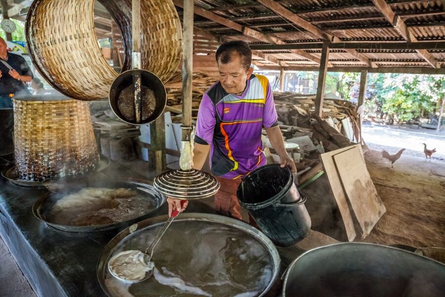 From Bangkok: Damnoen Saduak Floating Market Guided Tour - The Big Picture: What You’re Actually Buying for $122