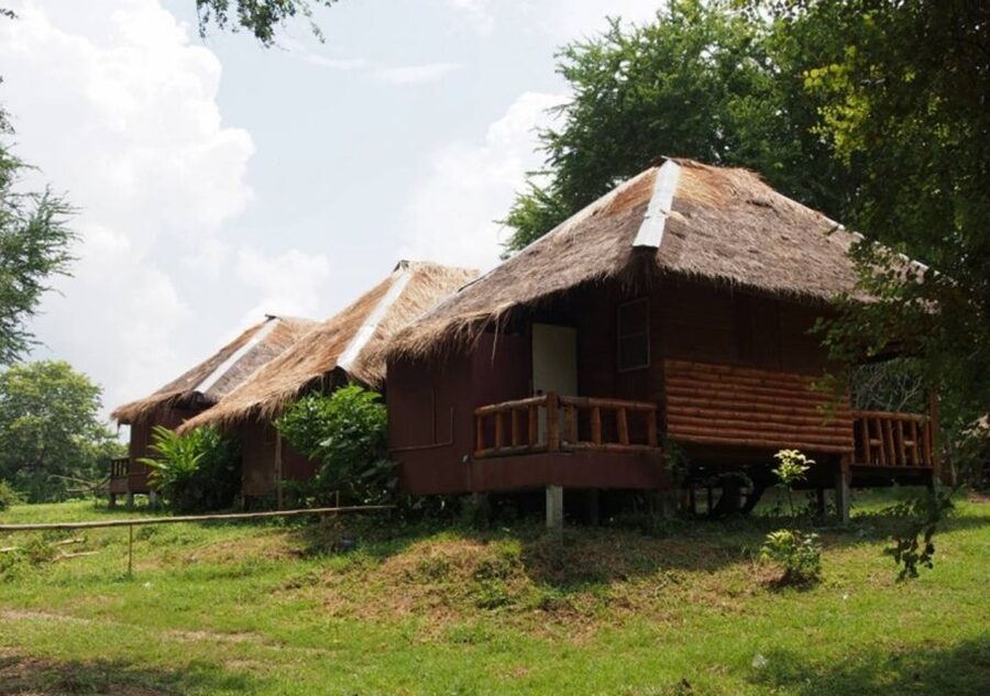 From Bangkok: ElephantsWorld Kanchanaburi 2-Day Experience - What to Bring: Your Comfort Kit for Sun, Water, and Bugs
