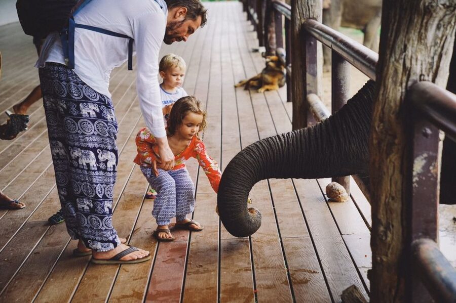 From Bangkok: ElephantsWorld Kanchanaburi 2-Day Experience - What’s Included (and Why It Matters)