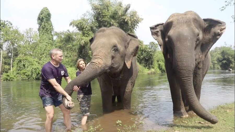 From Bangkok: ElephantsWorld Kanchanaburi 2-Day Experience - Price and What You’re Actually Paying For (US$411)