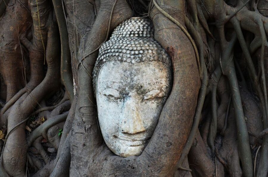 From Bangkok: Floating Market & Ayutthaya Private Day Trip - Lunch planning: your best move is to bring cash