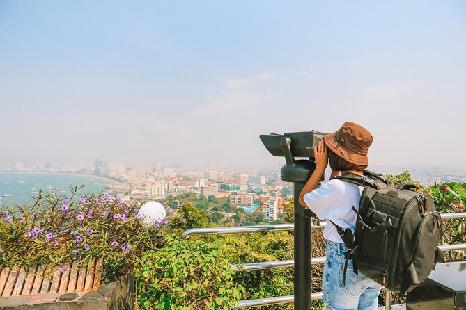 From Bangkok: Full Day Customizable Private Tour to Pattaya City - How the private vehicle and optional guide change your day