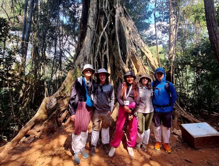 From Bangkok: Khao Yai National Park Jungle Trek with Lunch - Stop 1: the Km 30 viewing viewpoint for quick park big-picture views